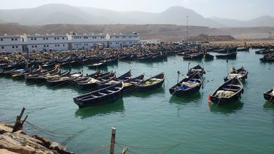 صورة ميناء سيدي إفني.. ارتفاع مفرغات الصيد الساحلي والتقليدي بـ 34 في المائة خلال الربع الأول من سنة 2024